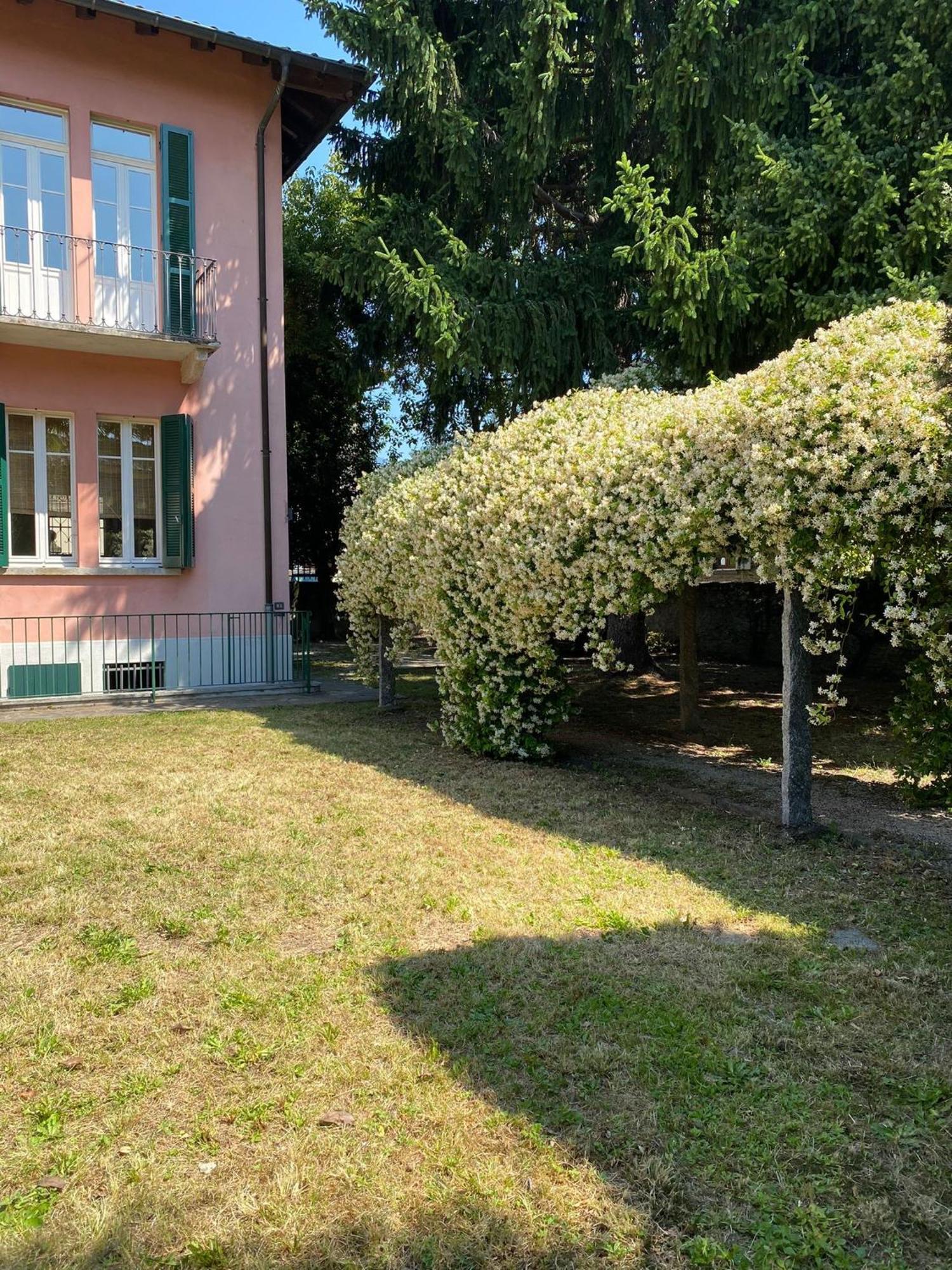 Casa Tranquilla Villa Cannobio Eksteriør billede